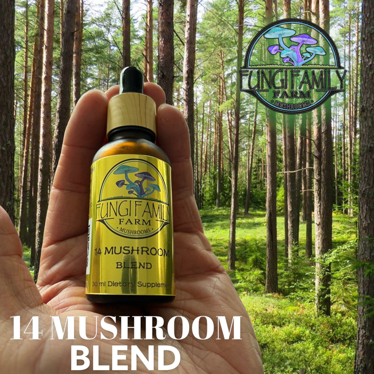 14 Mushroom Blend Tincture – Dual + Ultrasonic Extract for Full-Spectrum Wellness