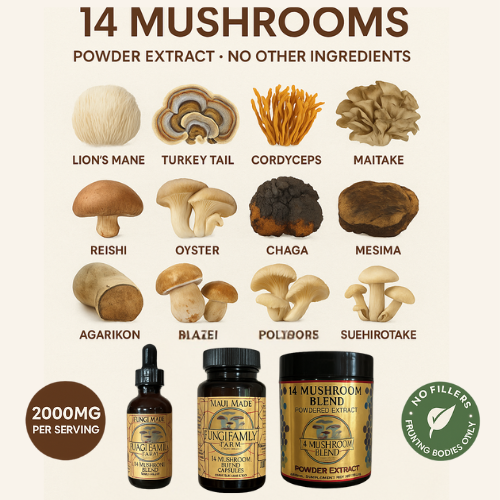 14 Mushroom Blend Powder Extract – Pure, Powerful, Full-Spectrum Wellness