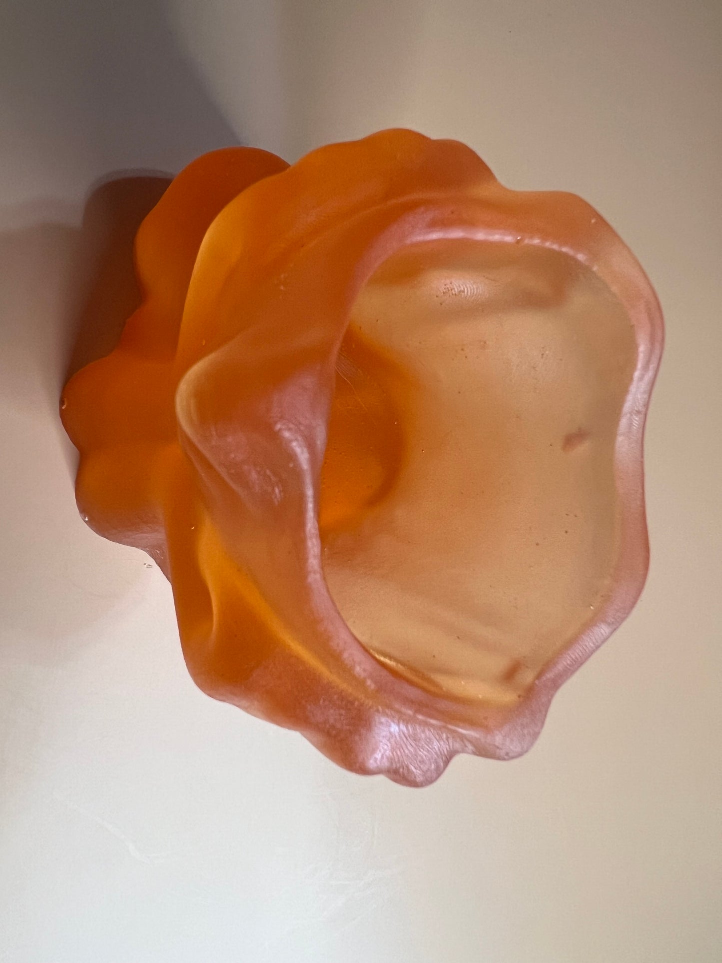 Lady Face Succulent Plant Holder