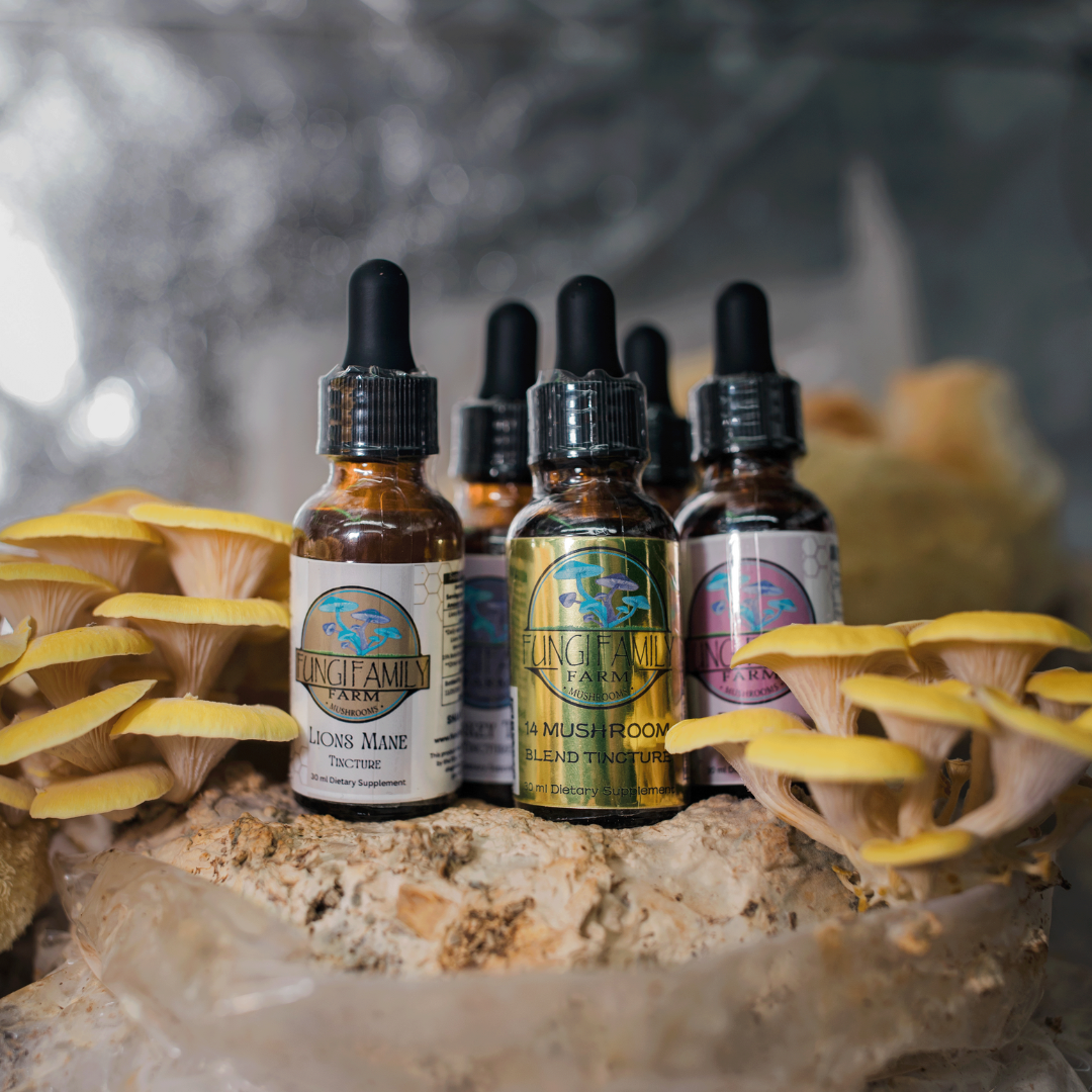 5 Tincture Box Set – Complete Daily Mushroom Wellness System
