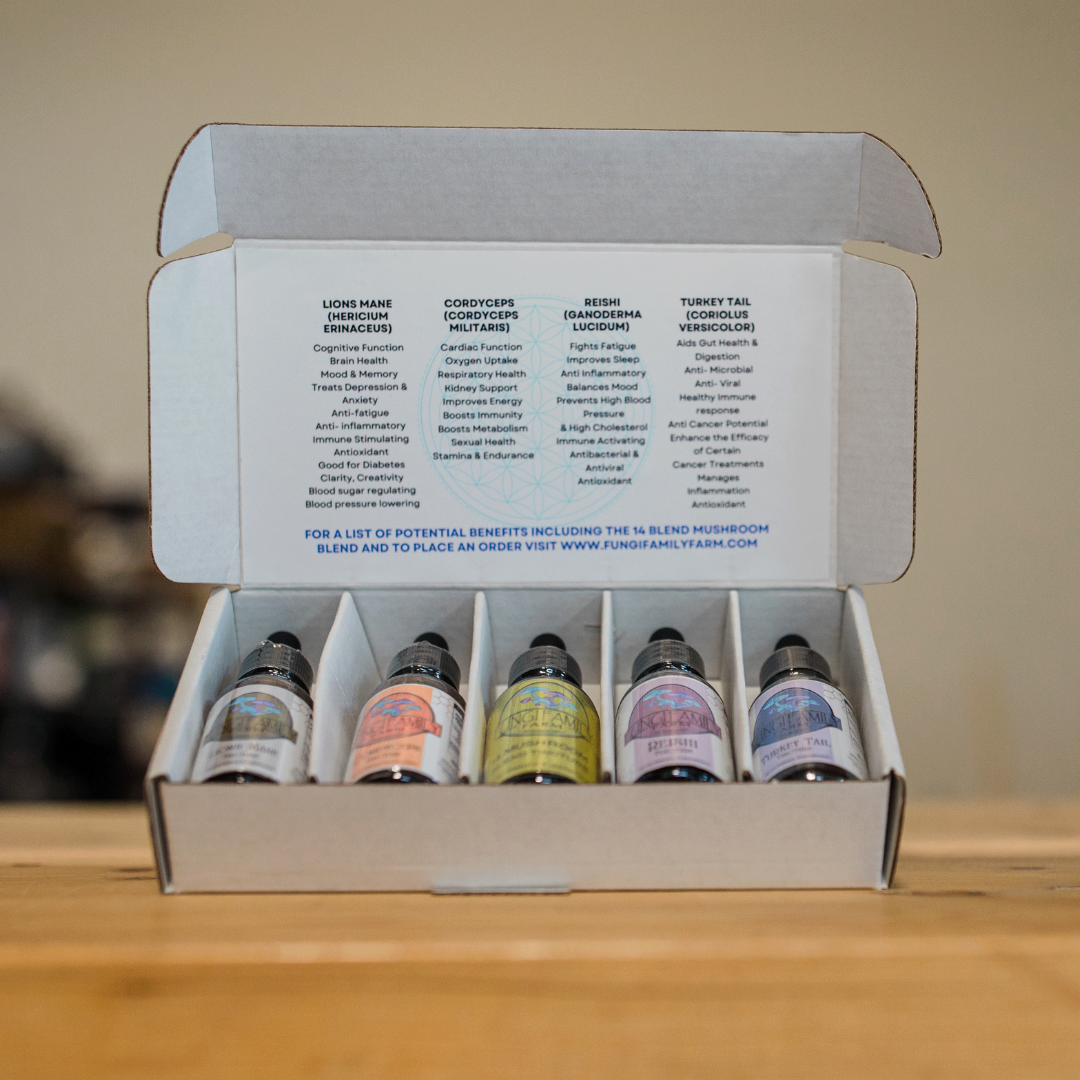 5 Tincture Box Set – Complete Daily Mushroom Wellness System