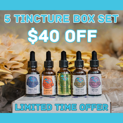 5 Tincture Box Set – Complete Daily Mushroom Wellness System