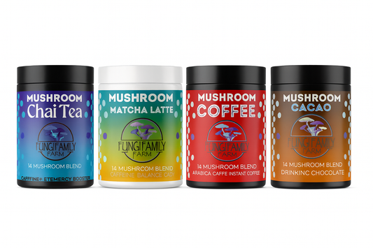 Mushroom Drink Bundle – 4 Functional Wellness Beverage Collection