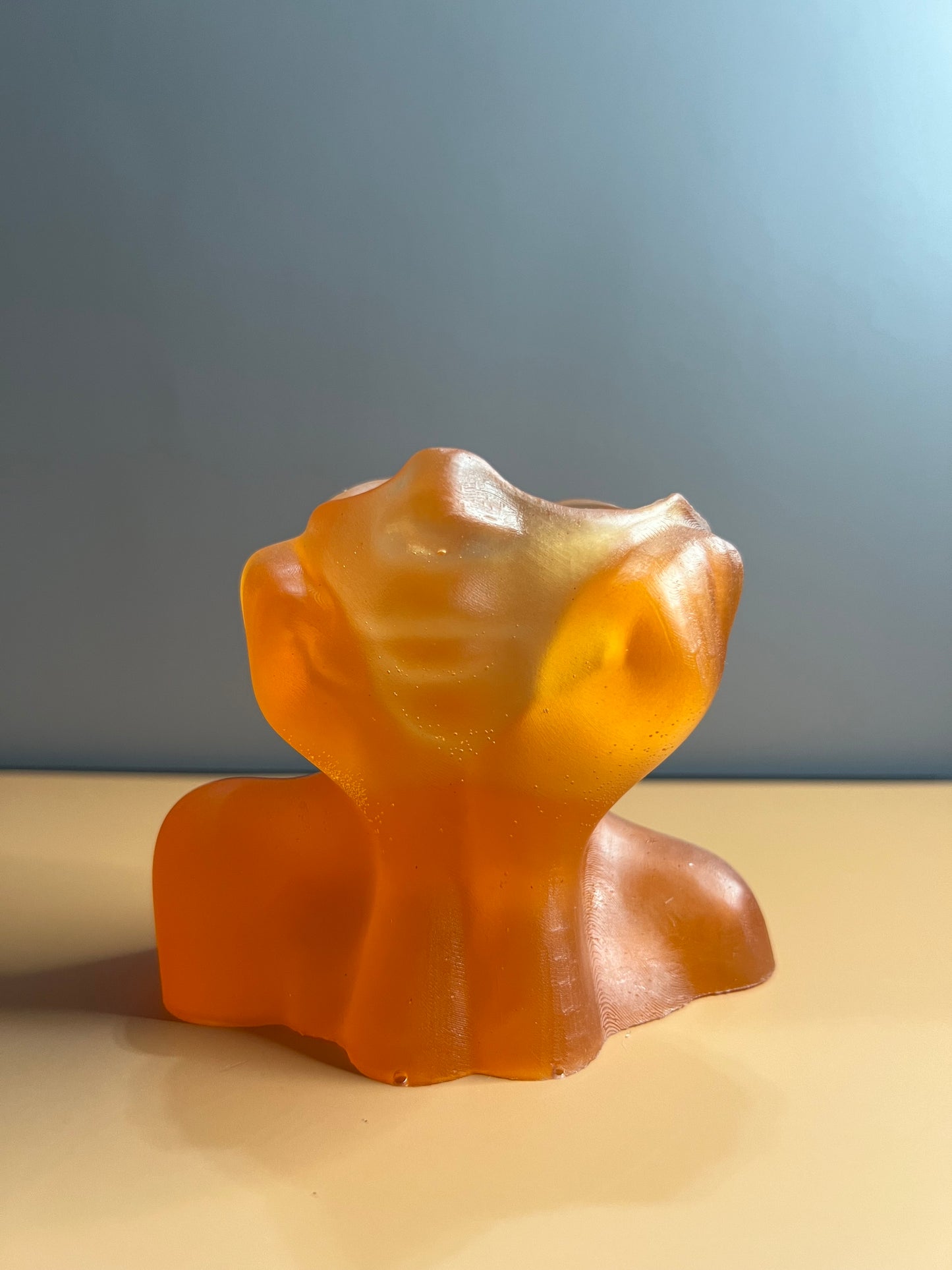 Lady Face Succulent Plant Holder