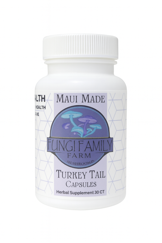 Turkey Tail Capsules – Immune & Gut Support From 100% Fruiting Bodies