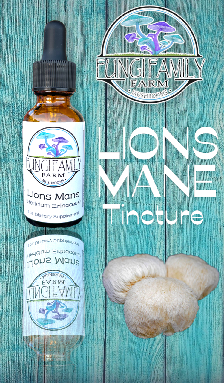 Lion’s Mane Tincture – Dual + Ultrasonic Extract for Focus & Cognitive Support