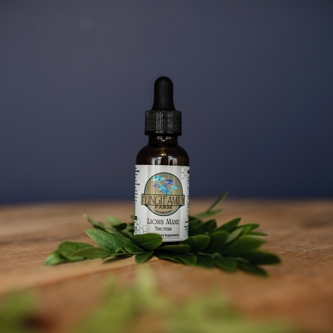 Lion’s Mane Tincture – Dual + Ultrasonic Extract for Focus & Cognitive Support