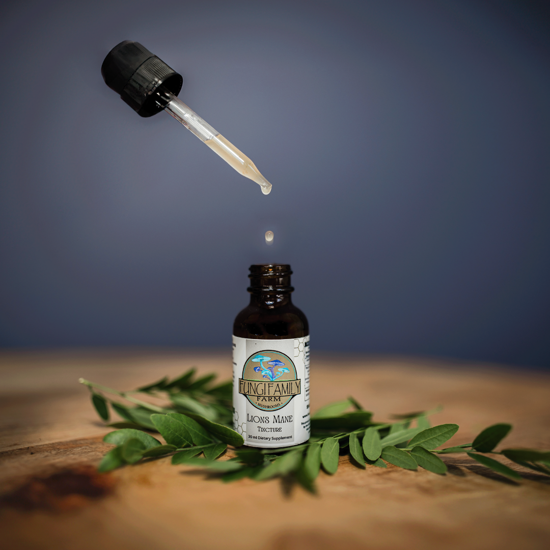 Lion’s Mane Tincture – Dual + Ultrasonic Extract for Focus & Cognitive Support