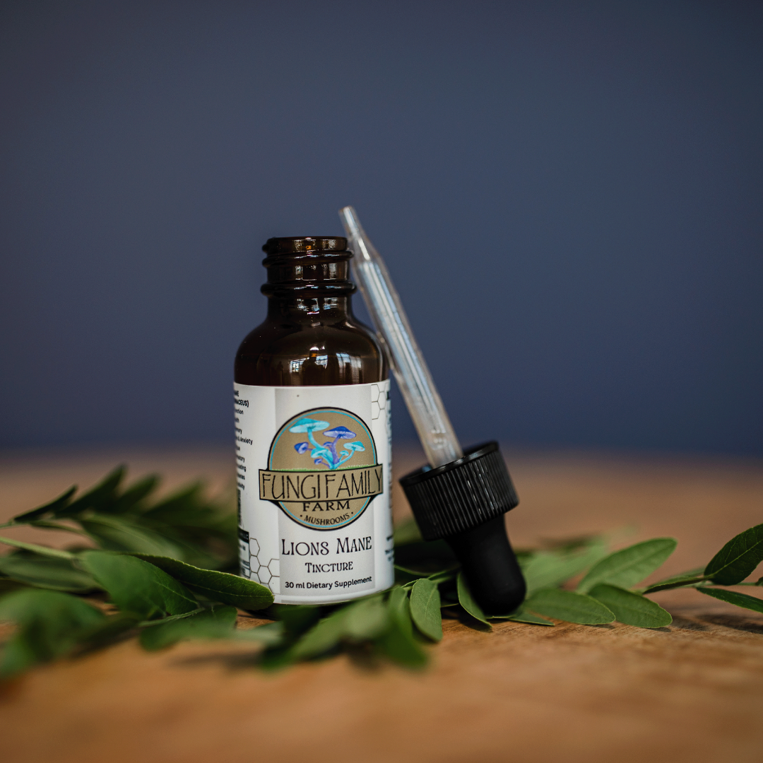 Lion’s Mane Tincture – Dual + Ultrasonic Extract for Focus & Cognitive Support