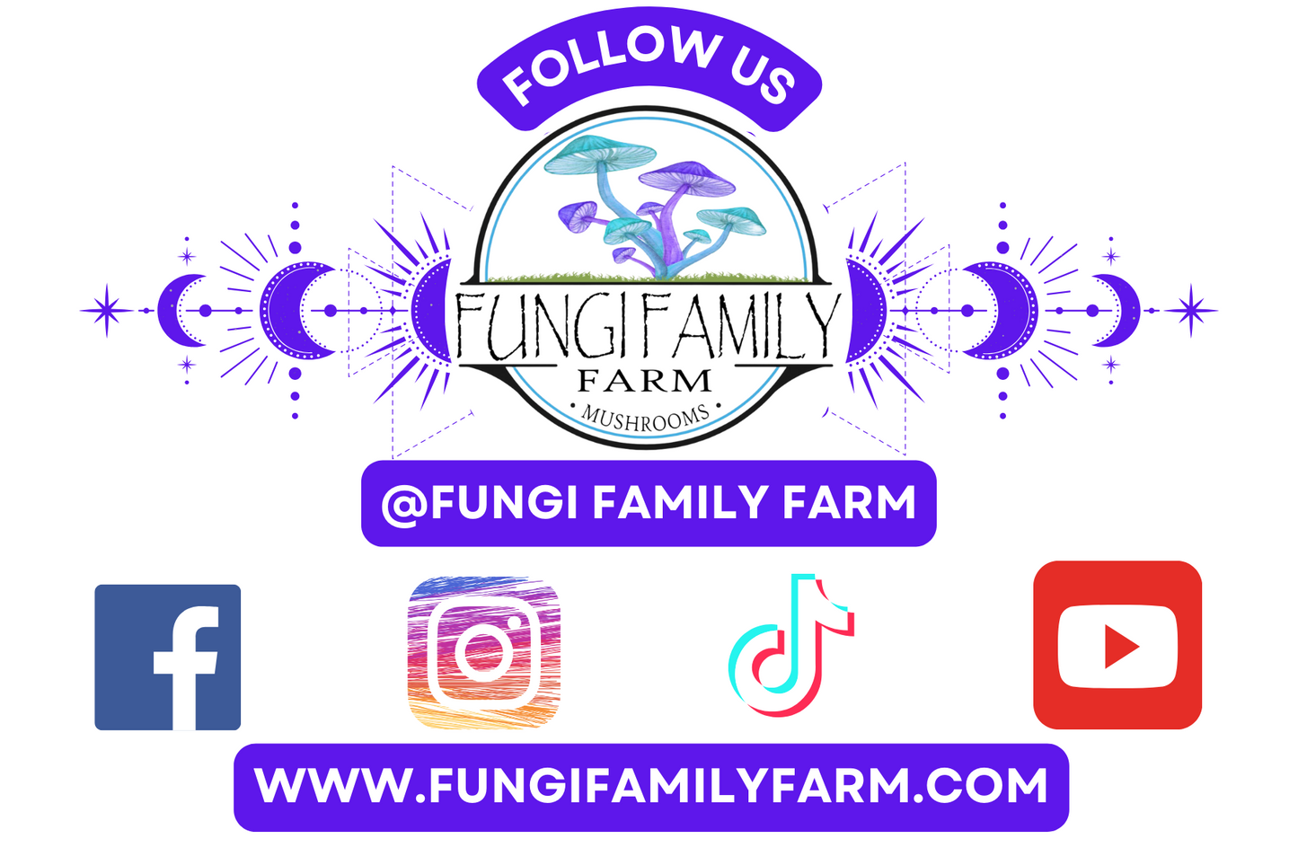 Mushroom Cacao – Drinking Chocolate