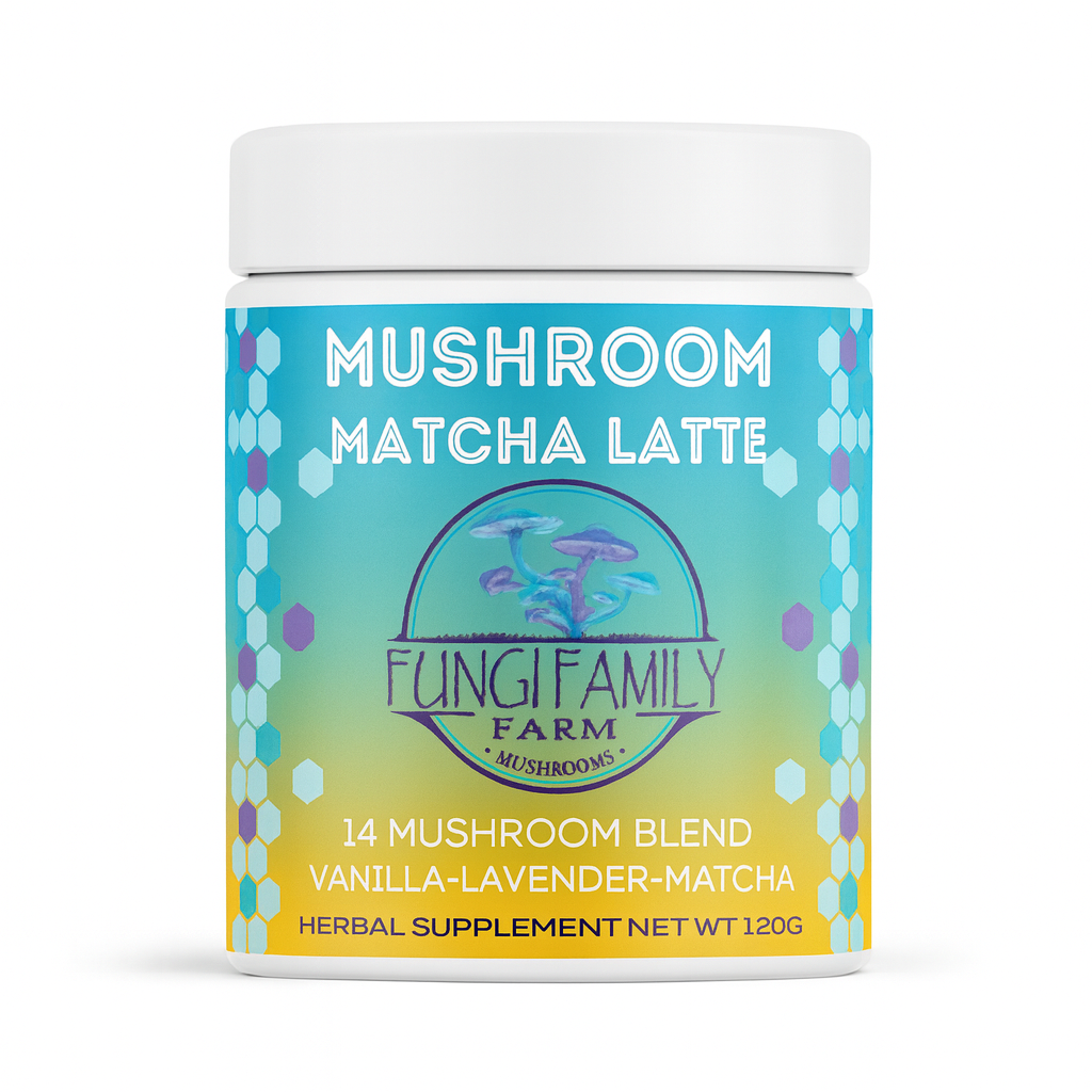 Mushroom Drink Bundle – 4 Functional Wellness Beverage Collection